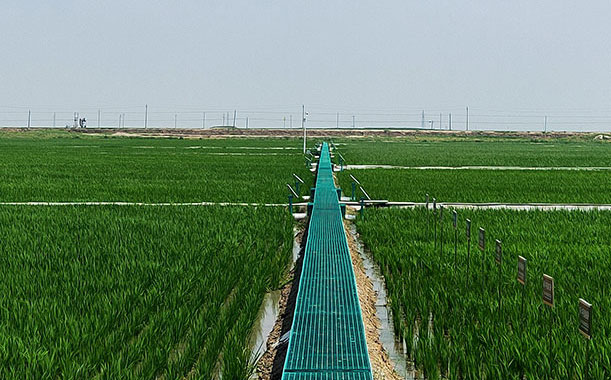 了解繼電保護測試儀使用方法